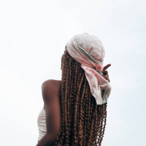 Le zebre collection